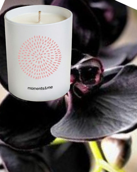 Schwarze Orchidee